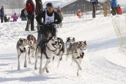 Lenk 2012 SM